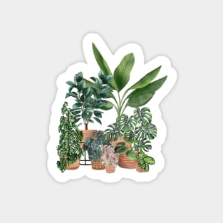 House Plants Illustration 15 Sticker